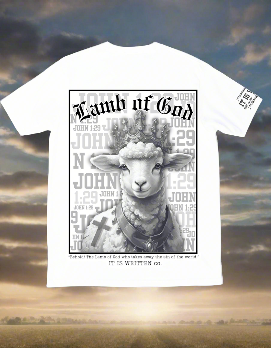 FLASH SALE π₯ LAMB OF GOD John 1:29